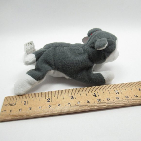 Nook the Catnip Husky - Picture 2 of 4